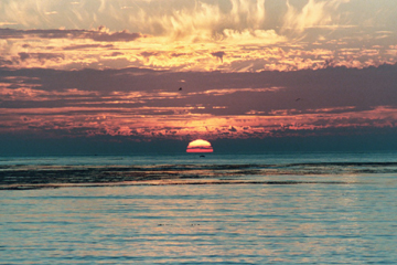 Sunset California